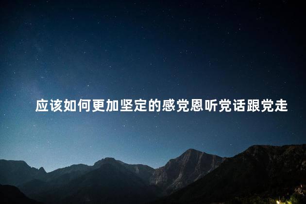 应该如何更加坚定的感党恩听党话跟党走500字 感党恩是谁提的